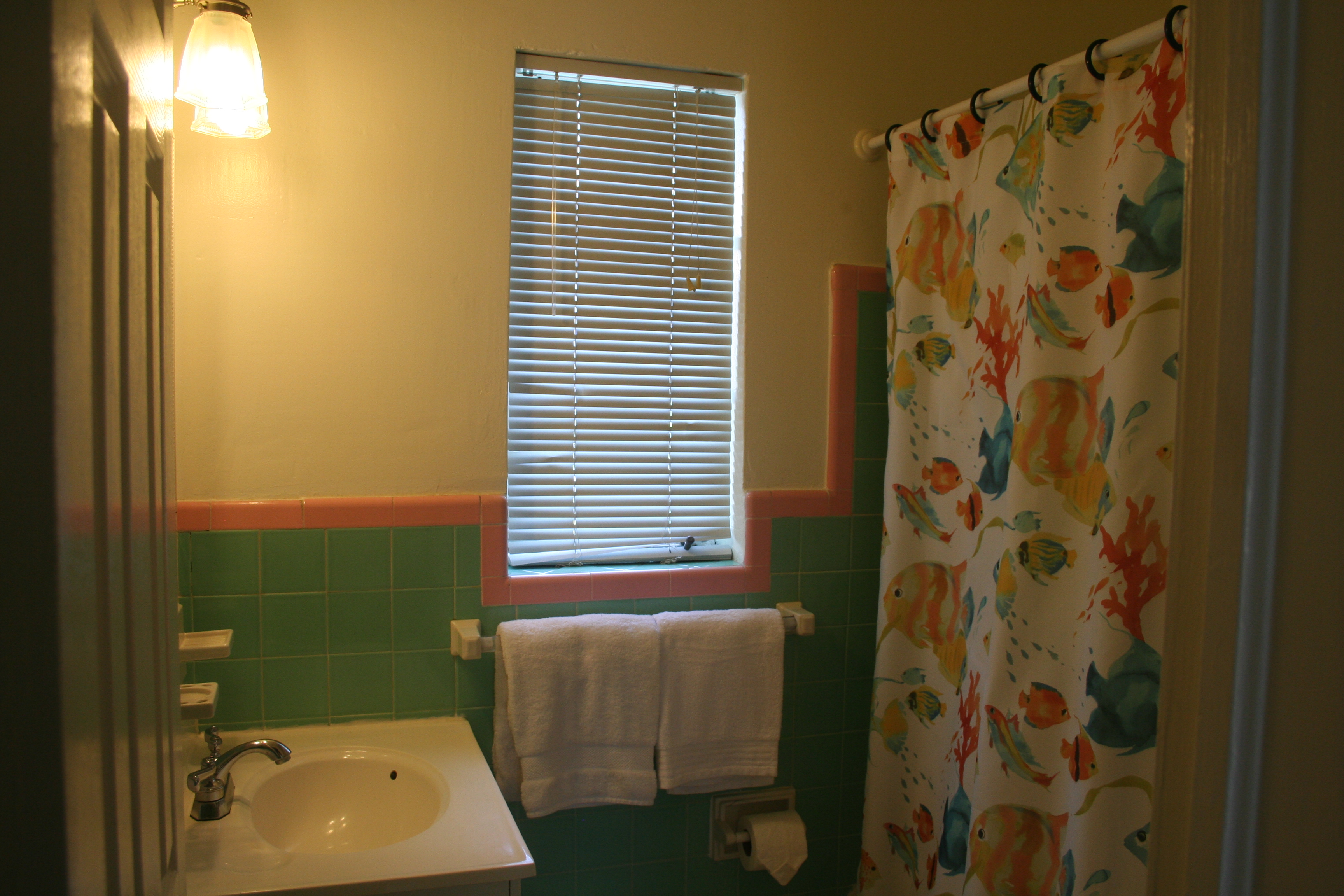 Bath tub and shower